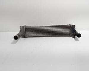 Radiator intercooler, Land Rover Freelander (LN) 2.0 diesel, 204D3 (id:701458)