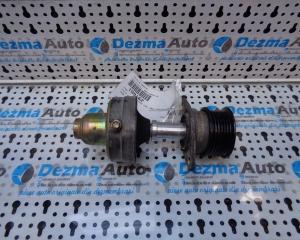 Cod oem: 98FF-10A352-AF, fulie alternator Ford Tourneo Connect 1.8tddi