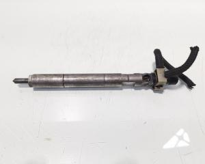 Injector Delphi, cod A6460700987, Mercedes Clasa E (W211) 2.2 CDI, OM646821 (id:702157)
