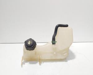 Vas expansiune, cod 217100014R, Renault Laguna 3 2.0 DCI, M9R802 (id:705000)