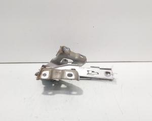 Set balamale capota fata, Audi A5 Sportback (8TA) (id:706158)