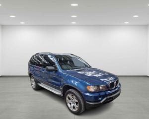 Vindem piese de caroserie si elemente de interior, pentru Bmw X5 (E53)
