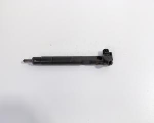 Injector Delphi, cod A6510702887, Mercedes Clasa E (W212) 2.2 CDI, OM651924 (id:711749)