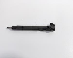 Injector Delphi, cod A510702887, Mercedes Clasa E (W212) 2.2 CDI, OM651924 (id:711748)
