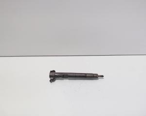 Injector Delphi, cod A6510700587, Mercedes Clasa E (W212) 2.2 CDI, OM651924 (id:712883)