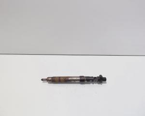 Injector, cod 9686191080, EMBR00101D, Ford Galaxy 2 2.0 TDCI, UFWA (id:713305)