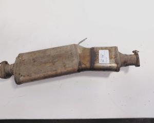 Catalizator, cod 8E0131701GN, Audi A6 (4F2, C6) 2.7 TDI, BPP (idi:711944)