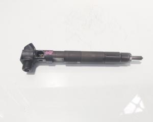 Injector Delphi, cod A6510702887, Mercedes Clasa E (W212) 2.2 CDI, OM651924 (id:714619)