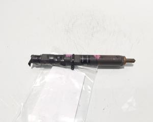 Injector Delphi, cod 166000897R, H8200827965, Renault Clio 3 1.5 DCI, K9K770 (id:703401)