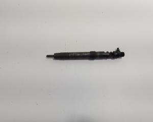Injector, cod 9686191080, EMBR00101D, Ford Galaxy 2 2.0 TDCI, UFWA (id:719520)
