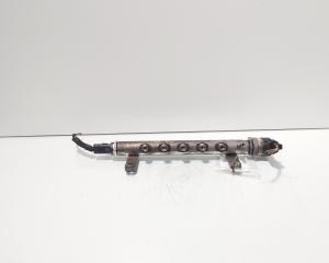 Rampa injectoare cu senzori, cod 9656917280, Land Rover Freelander 2 (FA) 2.2 DT, 224DT (id:720273)