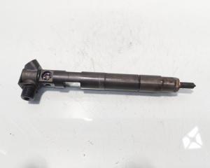 Injector Delphi, cod A6510700587, Mercedes Clasa E (W212) 2.2 CDI, OM651924 (id:722312)