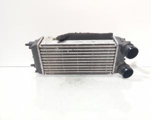Radiator intercooler, cod AV21-9L440-AB, Ford Fiesta 6 1.5 TDCI, UGJC (id:724183)