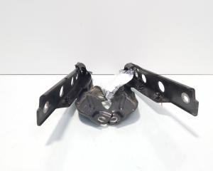 Set balamale capota fata, Audi A6 Avant (4G5, C7) (id:725397)