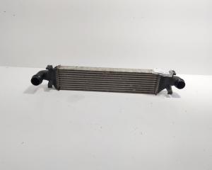 Radiator Intercooler, cod 2465000100, Mercedes Clasa CLA Coupe (C117) 1.8 CDI, OM651901 (idi:727633)