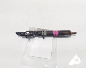 Injector Delphi, cod 8200567290, EJBR04001D, Renault Megane 2 1.5 DCI (idi:726599)