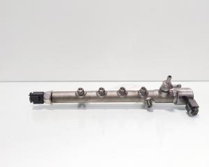 Rampa injectoare cu senzori Delphi, cod A6510700595, Mercedes CLS (C218) 2.2 CDI, OM651924 (idi:732177)