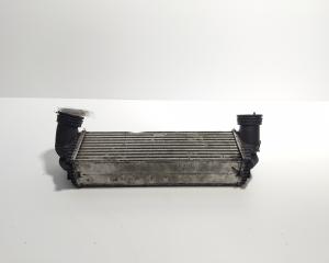 Radiator intercooler, Bmw 3 (E90) 3.0 diesel, 306D3 (idi:716659)