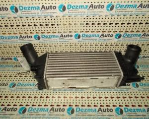 9657073480 Radiator intercooler Citroen C5 (RD) 2.0hdi