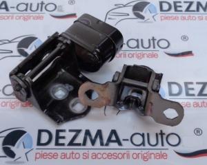 Set balamale dreapta spate, Renault Megane 2 sedan