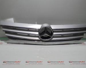 Grila bara fata centrala cu sigla A1698800983, Mercedes Clasa A (W169) (id:297582)