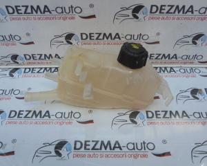 Vas expansiune, 217100005R, Renault Megane 3 combi