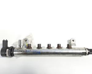 Rampa injectoare, 9656917280, Peugeot 407 SW (6E) 2.2hdi (id:251680)