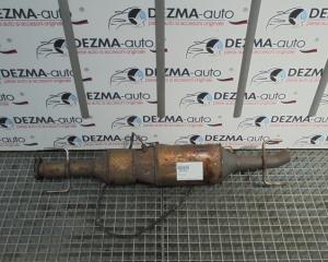 Catalizator 2, GM55353946, Opel Zafira B, 1.9cdti, Z19DT