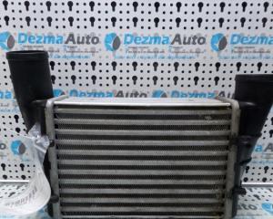 Radiator intercooler Vw Passat (3B) 1996-2000