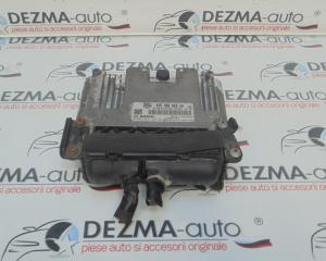 Calculator motor 03G906056AA, 0281015336, Vw Caddy 3 combi (2KJ) 1.9tdi, BLS