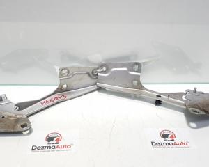 Set balamale capota fata, Renault Megane 3 coupe