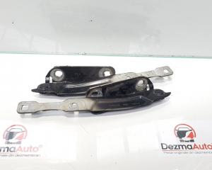 Set balamale capota fata, Dacia Logan 2