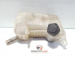 Vas expansiune, Renault Megane 2 Sedan, 8200262036B (id:386191)