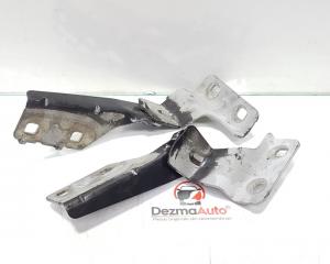 Set balamale capota fata, Renault Megane 2