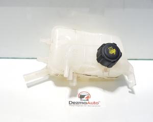 Vas expansiune, Renault Megane 3, 217100005R (id:400265)