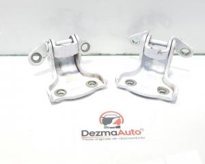 Set balamale stanga spate, Chevrolet Captiva (C100)