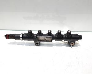Rampa injectoare cu senzor, cod 9642503380, Ford Fiesta 5, 1.4 tdci, F6JA (id:456245)