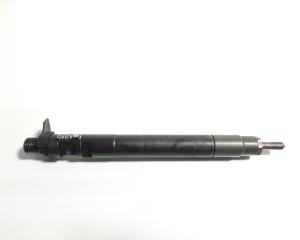 Injector, cod 9686191080, EMBR00101D, Ford Galaxy 2, 2.0 tdci, UFWA (pr:110747)