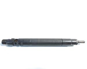 Injector, cod 9686191080, EMBR00101D, Ford Galaxy 2, 2.0 TDCI, UFWA (id:410946)