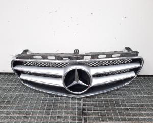 Grila bara fata centrala, cod A2128850822, Mercedes Clasa E (W212) (id:461914)