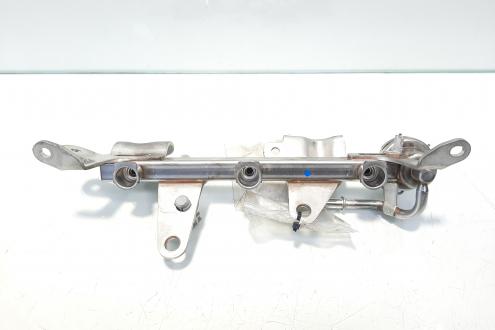 Rampa injectoare, cod 175201470R, Renault Clio 4, 0.9 tce, H4B408 (id:465279)