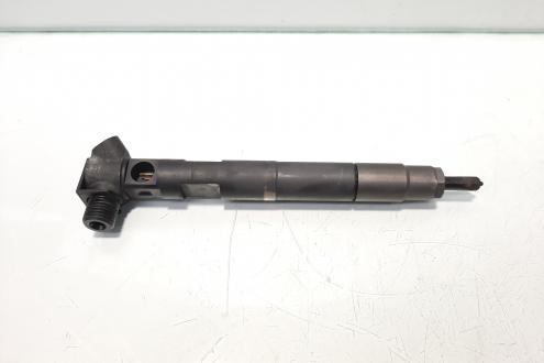 Injector, cod A6510700587, Mercedes Clasa C T-Model (S204) 2.2 CDI, OM651911 (idi:468668)