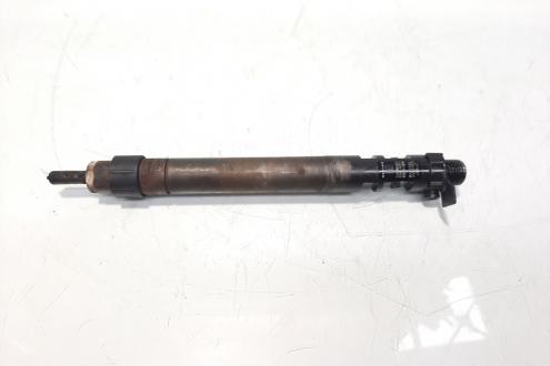 Injector, cod 9686191080, EMBR00101D, Peugeot 508, 2.0 HDI, RHH (idi:470192)