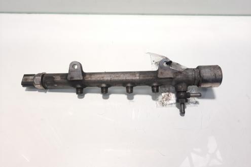 Rampa injectoare, cod A6510700595, Mercedes Clasa E T-Model (S212), 2.2 CDI, OM651924 (idi:474038)