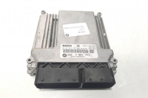 Calculator motor, cod 7801711, 0281013251, Bmw 3 Touring (E46), 2.0 diesel, 204D4 (idi:472520)