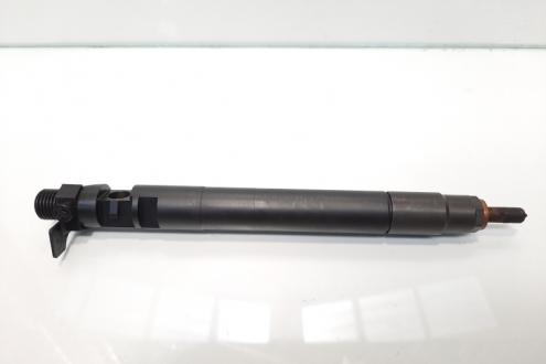 Injector, cod 9686191080, EMBR00101D, Ford Galaxy 2, 2.0  tdci, UFWA (id:477614)