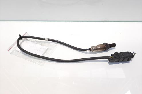 Sonda temperatura gaze, cod 03L906088CC, Skoda Octavia 2 Combi (1Z5), 1.6 TDI, CAY (idi:476993)