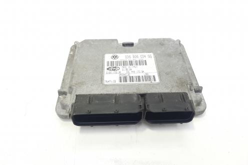 Calculator motor, cod 036906034GQ, Skoda Fabia 1 Praktik, 1.4 benz, BKY (idi:483381)