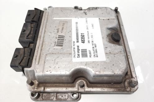 Calculator motor, cod 9648588880, 0281011188, Peugeot 307 sedan, 2.0 HDI, RHY (idi:483501)