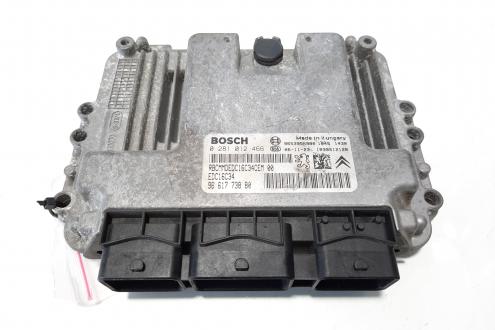 Calculator motor, cod 9661773880, 0281012466, Citroen C5 (III) Break, 1.6 HDI, 9HZ (idi:483555)